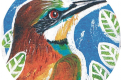 Chapa-Eyaba-Abejaruco