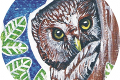 Chapa-Eyaba-Mochuelo