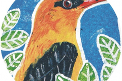 Chapa-Eyaba-Oropendola-