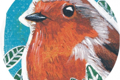 Chapa-Eyaba-Petirrojo