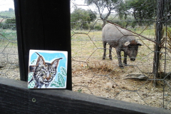 20190305_140719-retocado