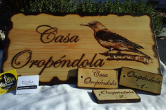 72206277_388179442126545_1464769575206780928_n