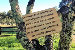 Cartel-Decorativo-Olivos