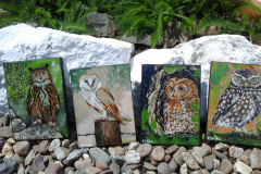 Cuadro-AVES-NOCTURNAS