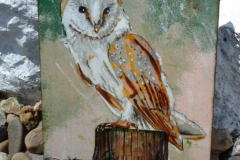 Cuadro-Lechuza-comun