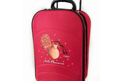 trolley-flamenca-pintada-a-manojghj