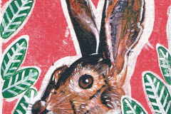 Iman-Eyaba-Conejo-jpg