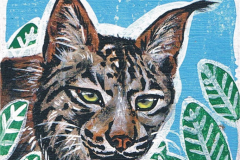 Iman-Eyaba-Lince-jpg