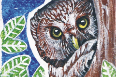 Iman-Eyaba-Mochuelo.