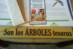 72782882_391007658510390_379648660557791232_n