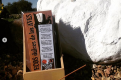 Screenshot_2021-07-22-Eva-Yamuza-Eyaba-lacajadepalo_eyb-•-Fotos-y-videos-de-Instagram19