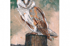 Lechuza-JPG-lamina-A4-texto-con-
