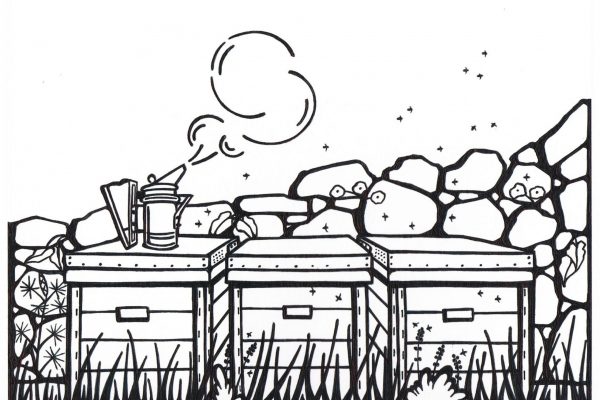 Colmenas - sin línea negra de fondo