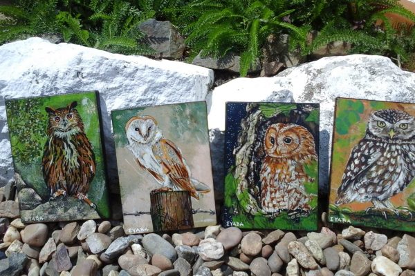 Cuadro AVES NOCTURNAS