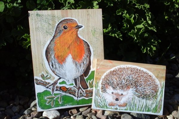 Cuadros petirrojo y puercoespin