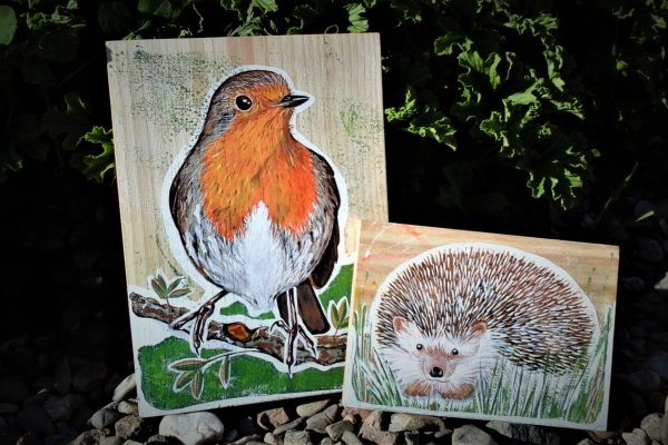 Ilustración petirrojo y erizo