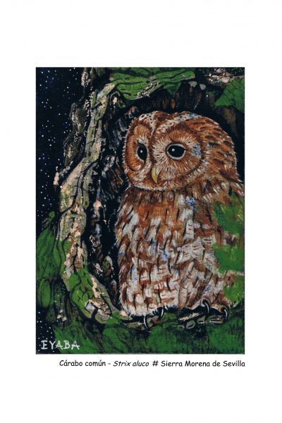 Lámina A4 texto con #. para imprenta.