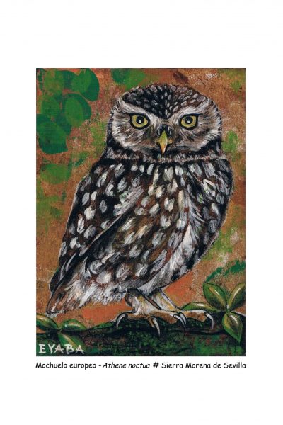 Lámina A4 texto con #. para imprenta.JPG