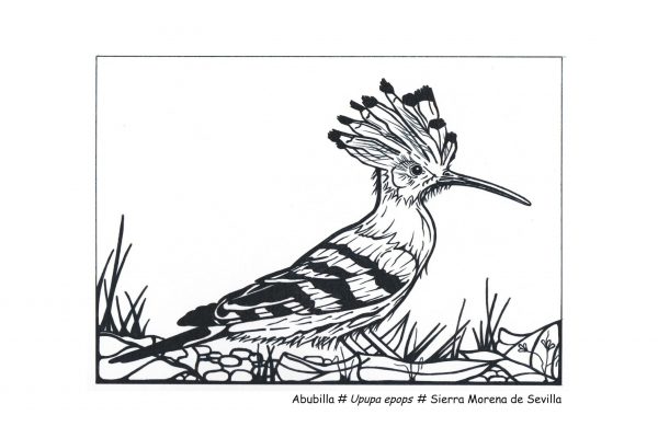 Lamina Abubilla A4 con #