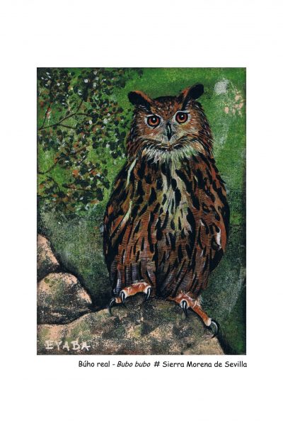 Lamina buho con #